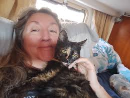 Introduction to Elektra, a tortoiseshell cat with distinctive features