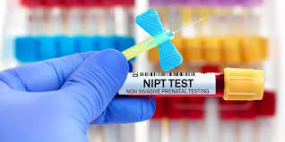 Image result for Prenatal Lab