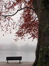 Das telefonbuch kann mit 20 adressen antworten! Bodensee In Konstanz Im Herbst Nebel Lake Constance Germany Autumn Leaves And Fog Bodensee Kurzurlaub Bodensee Bodensee Urlaub