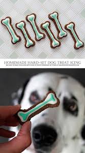 diy dog treat recipes how to make homemade hard set royal icing for dogs trainingdogscesarmillan dog biscuit recipes dog biscuits pet treats recipes