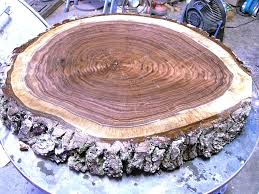 Live Edge Walnut Round Wood Slab Tree Slice For Table Top Sign End Table Wood Burning 3 Inches Thick 23 7 8 Wide Wood Slab Slab Coffee Table Wood