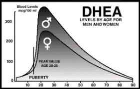 Autoimmune Disease Triggers Dhea Estrogen Thyroid Sugar