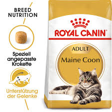 Coon synonyms, coon pronunciation, coon translation, english dictionary definition of coon. Royal Canin Adult Maine Coon Katzenfutter Gesund Gunstig