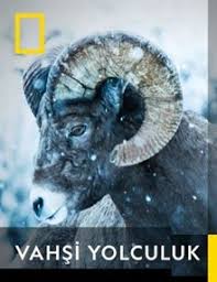 Destination Wild 1 Sezon 5 Bolum Hd Izle