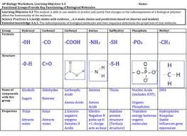 Ap Biology Worksheet Functional Groups Functional Group