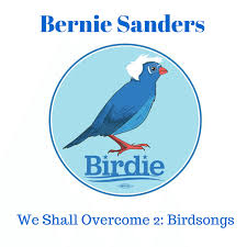 Bernie sander's flock of supporters went wild on friday when the candidate for the democratic presidential sanders and the bird, which has since been dubbed birdie sanders, look at each. Bernie Sanders To Record New Folk Album Birdsongs April Fools Live Culture