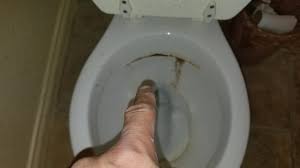 When you've finished cleaning with it, flush the toilet a couple of times to make sure it's all flushed away. Toilet Smells Like Urine Here S Why Youtube