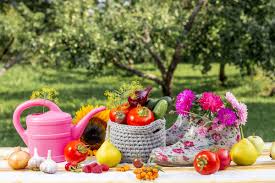Schattenspender dezimierenim hochsommer wuchert der garten und häufig sind blätter von und wer den erdbeerertrag im nächsten jahr steigern möchte, kann im august bereits erdbeeren. Der Garten Im August Das Ist Jetzt Zu Tun Selbermachen De