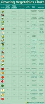 growing vegetables chart with info about watering