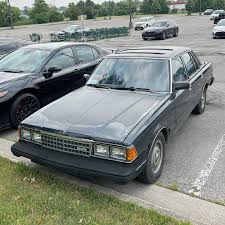 Image result for Brown 1984 Cressida