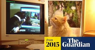 Image result for tbn:XlKqJDikDsTDFM::i132.photobucket.com/albums/q36/queen-elarab/cats/22.jpg