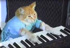31 Viral Videos You Used To Watch When Your Parents Didn T Know What Youtube Was Internet Cats Funny Cat Memes Funny Cat Videos
