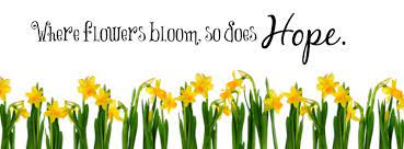 Facebook Cover Photo Daffodils Where Flowers Bloom So Does Hope Quote Cover Photos Facebook Cover Photos Blue Lotus Flower