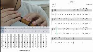 Spring Is Coming D Key Dizi Finger Chart Notation Video