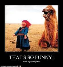 A few minutes later the son asks, mom, why have i got these great long eyelashes? they are there to keep the sand out of your eyes on the trips through. I Can Has Cheezburger Camel Page 2 Funny Animals Online Cheezburger