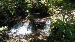 Ash grove, mountain cabins and camping started life as the connestee campground around 1970.connestee falls created the campground so that the people who were building their summer homes could come and camp there on the weekends and see the progress on their home. Our Small Waterfall At Ash Grove Mountain Cabins And Camping Waterfall Small Waterfall Nature Pictures