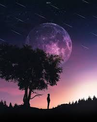 Disfrutando De La Tranquilidad Celestial Outdoor Celestial Bodies