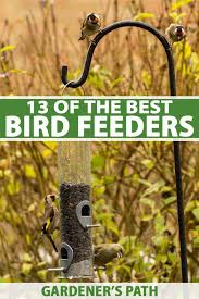 Thistle seed ( 2 ) 13 Of The Best Bird Feeders A Gardener S Path Product Guide