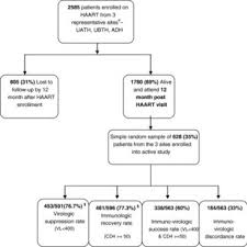 Flow Chart Of Nigerian Adults On Art Recruited At 12 Months