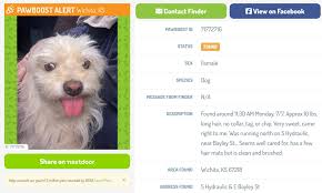 Found dog in Wichita, Kansas area