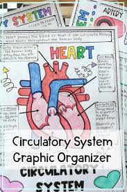 Almost all arteries carry blood with a lot of oxygen in it. Circulatory System Anchor Chart Diagram And Drawing For Kids Middle School Health Circulatory System For Kids Circulatory System
