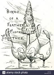Birds Of The Same Feather Flock Together Meme Nursery Rhyme Birds Of A Feather Flock Together Sayings The Idiom Birds Of A Feather Is From The Proverb Birds Of A Feathe Bird Feathers Nursery Rhymes Rhymes