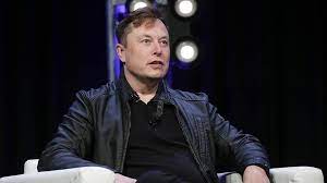Elon Musk calls White House official 'snake' amid vetting controversy