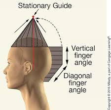In haircutting a subsection of the hair is known as this. Chapter 16 Milady Flashcards Quizlet
