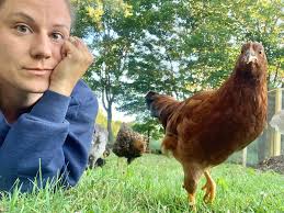 What breed of chicken is this?