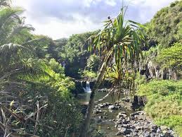 Image result for Kuloa