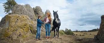 Luna paiano, hanna binke, amber bongard and others. Ostwind Der Grosse Orkan Film 2021 Kritik Trailer News Moviejones