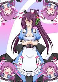 Pin on Infinite Stratos