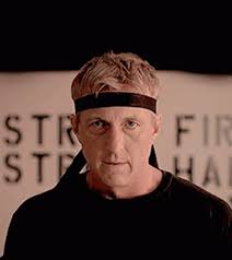 Cobra Kai Johnny Punch Ready GIF