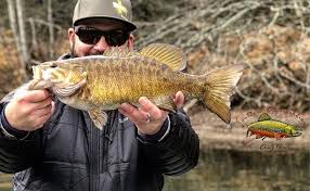 the smallmouth spawn breakdown pro smallmouth guides