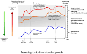 B The Vulnerability Model Transdiagnostic Dimensional Approach Download Scientific Diagram