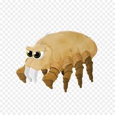 Arbeitszeit und urlaubsanspruch im mutterschutz. Haus Staub Milben Acari Trombicula Autumnalis Milben Png Herunterladen 1000 1000 Kostenlos Transparent Stofftier Png Herunterladen