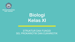 We did not find results for: Struktur Dan Fungsi Sel Prokariotik Dan Eukariotik Sma Syarif Hidayatullah Grati