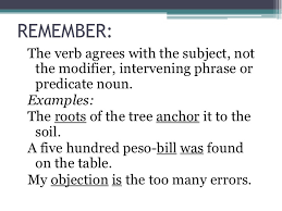 Verb Agreement Sada Margarethaydon Com