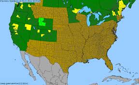 Image result for Subularia