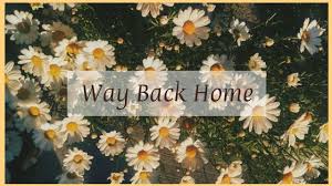Daisy is known as the cousin of princess peach as stated in the prima guides for. Way Back Home Cover Lyrics Korean N Malay Youtube