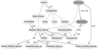 Meaning, pronunciation, synonyms, antonyms, origin, difficulty, usage index and more. Contextualization An Overview Sciencedirect Topics