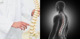 Maybe you would like to learn more about one of these? 6 Fungsi Rangka Manusia Struktur Tubuh Hingga Regulasi Hormon