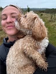 Pet services including insurance and care