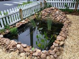 The us landscape designer has built dozens of fish ponds in every shape and size, all the way up to a lavish us$40,000 koi pond the size of a swimming pool. Diy Surprisingly Easy And Cheap Way To Build A Pond For Your Yard Ponds Backyard Diy Ponds Backyard Diy Pond