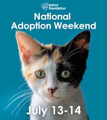 To view more adoptable pets; Save A Life This Weekend With Furkids At Petco Furkids Georgia S Largest No Kill Animal Rescue Shelters