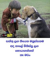 We did not find results for: Love City Love City Hat Ein Neues Foto Hinzugefugt