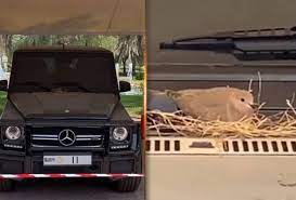 Jika dikeluarkan sendiri, maka diniatkan ketika menyerahkannya kepada yang berhak atau setelah memisahkan beras sebagai fitrahnya. Jumpa Burung Bersarang Atas Kereta Kerabat Diraja Ini Hadang Suv Agar Ia Tidak Diganggu Lalangmanis