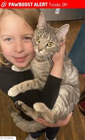 Is it muddy or raining at The Gated Dock in Shelby, Ohio?