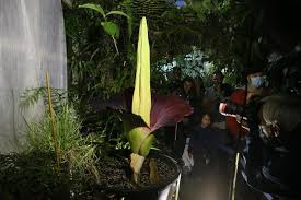 3 m in height, the. Hmzqppumjkiqfm