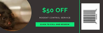If you had the chance to get the things you need cheaper, would you take advantage of this chance? Coupons And Special Offers For Pest Control And Insulation Services